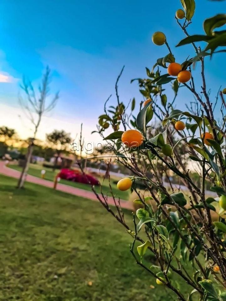 Condominio Terrasul